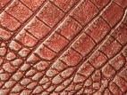 In Belarus, introduced duties on the export of leather raw materials