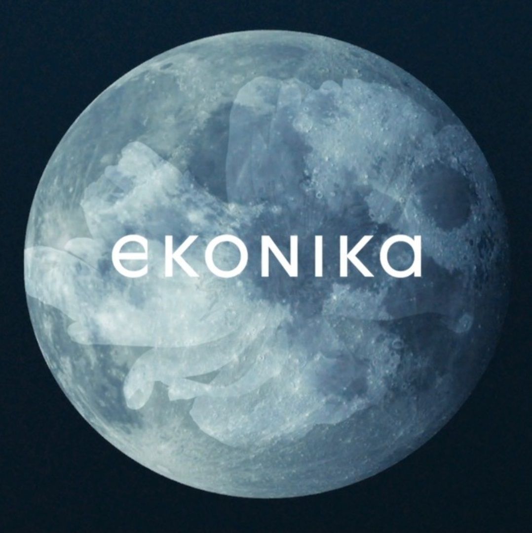 Ekonika is on the way to a large-scale rebranding