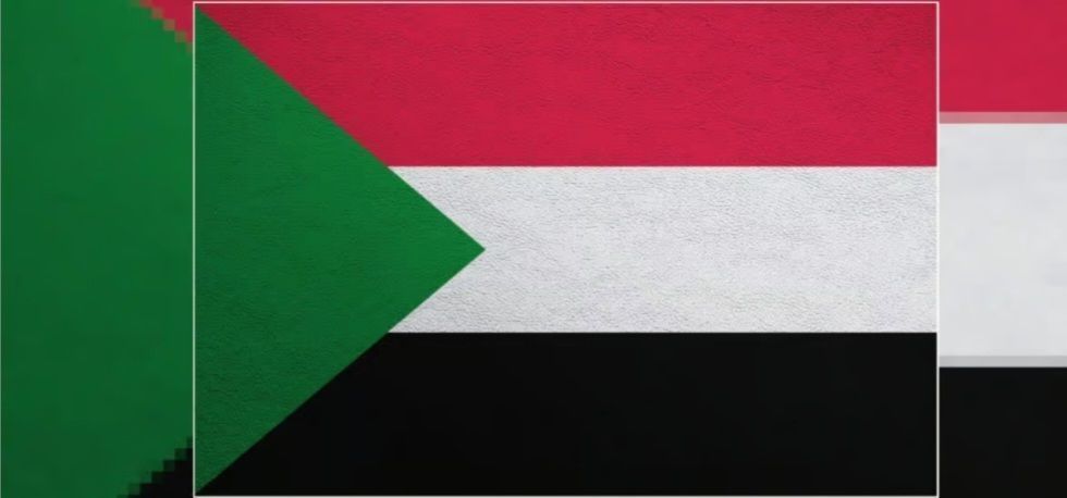 Sudan announces support for leather industry