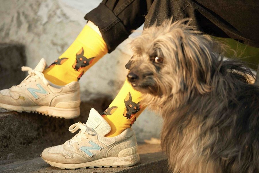 St. Fride Socks and PetShop.ru have released a collection of socks in support of stray animals
