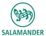 SALAMANDER en Rusia cambia a la alta dirección