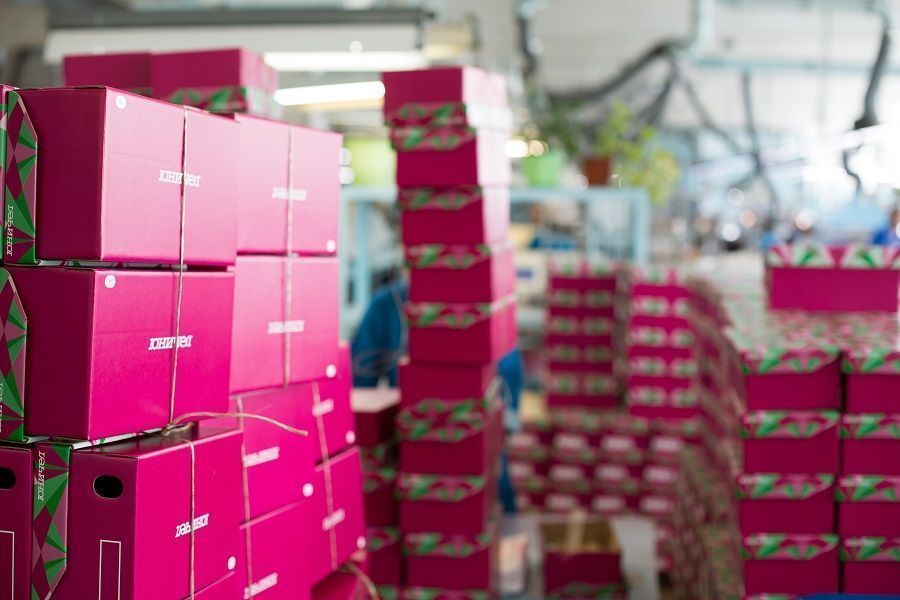 Unichel agreed with Russian Post on the delivery of goods from an online store