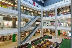 El primer centro comercial de alta calidad aparecerá en Kingisepp