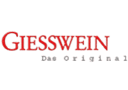 Яркая зима от Giesswein 