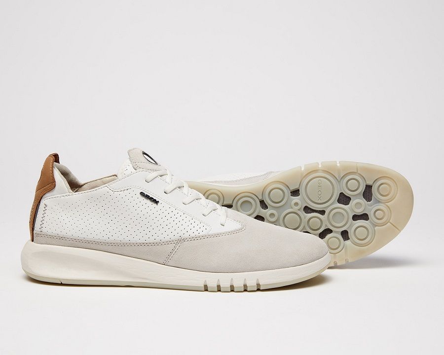 Geox introduced new models of men's sneakers