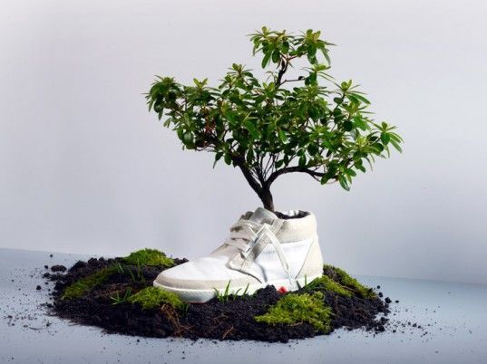 Eco-fashion as a cure for the crisis