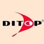 Results of the presentation of the autumn-winter collection of the DITOP trademark