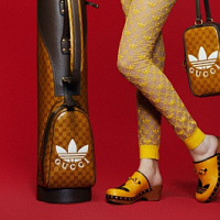 Adidas e Gucci stanno collaborando