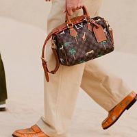 Speedy от Louis Vuitton лидирует в рейтинге люксовых сумок бестселлеров на вторичном рынке в 2026 году 