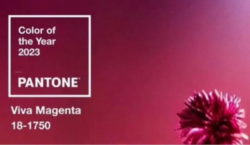 Pantone назвал цвет 2023 года