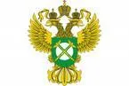 Брендам строят вертикаль власти