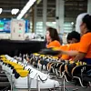 Мировое производство обуви сократилось на 1,5 млрд пар в 2023 году