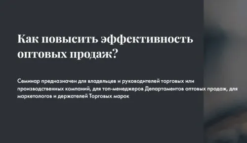  ¿CÓMO AUMENTAR LA EFICIENCIA DE LAS VENTAS MAYORISTAS?