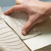 В Италии - новый игрок на рынке экзотической кожи. White Line-Reptilis выделено 3 млн евро 