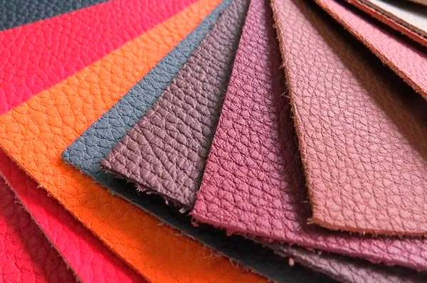 The Federation Council will discuss the ban on the use of the phrase "eco-leather"