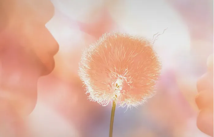 Институт Pantone назвал цвет 2024 года