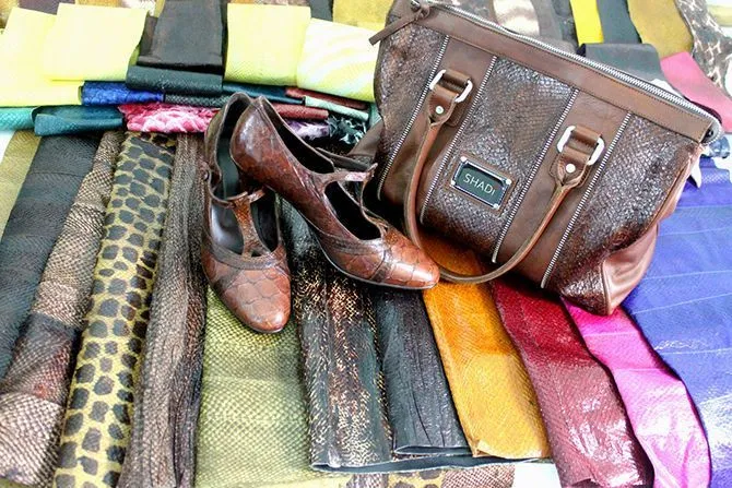 Shadi venderá zapatos de cuero de pescado en el mercado europeo